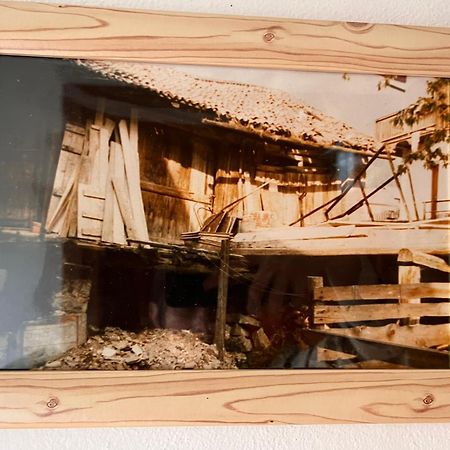 Ciasa Agb Apartman Moena Kültér fotó